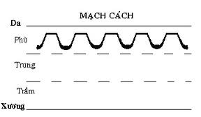 Y LÝ - CHẨN ĐOÁN HỌC - TỨ CHẨN